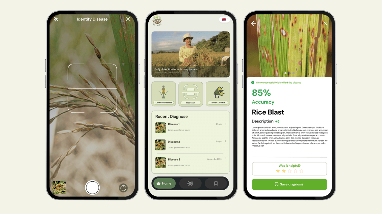 Rice disease recognition system cover